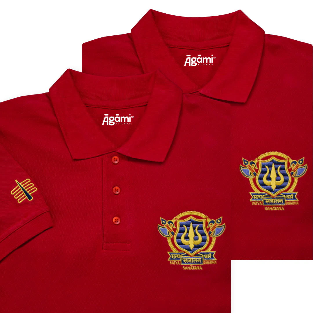 Combo Pack of 2 Polo Tshirts - Image 51