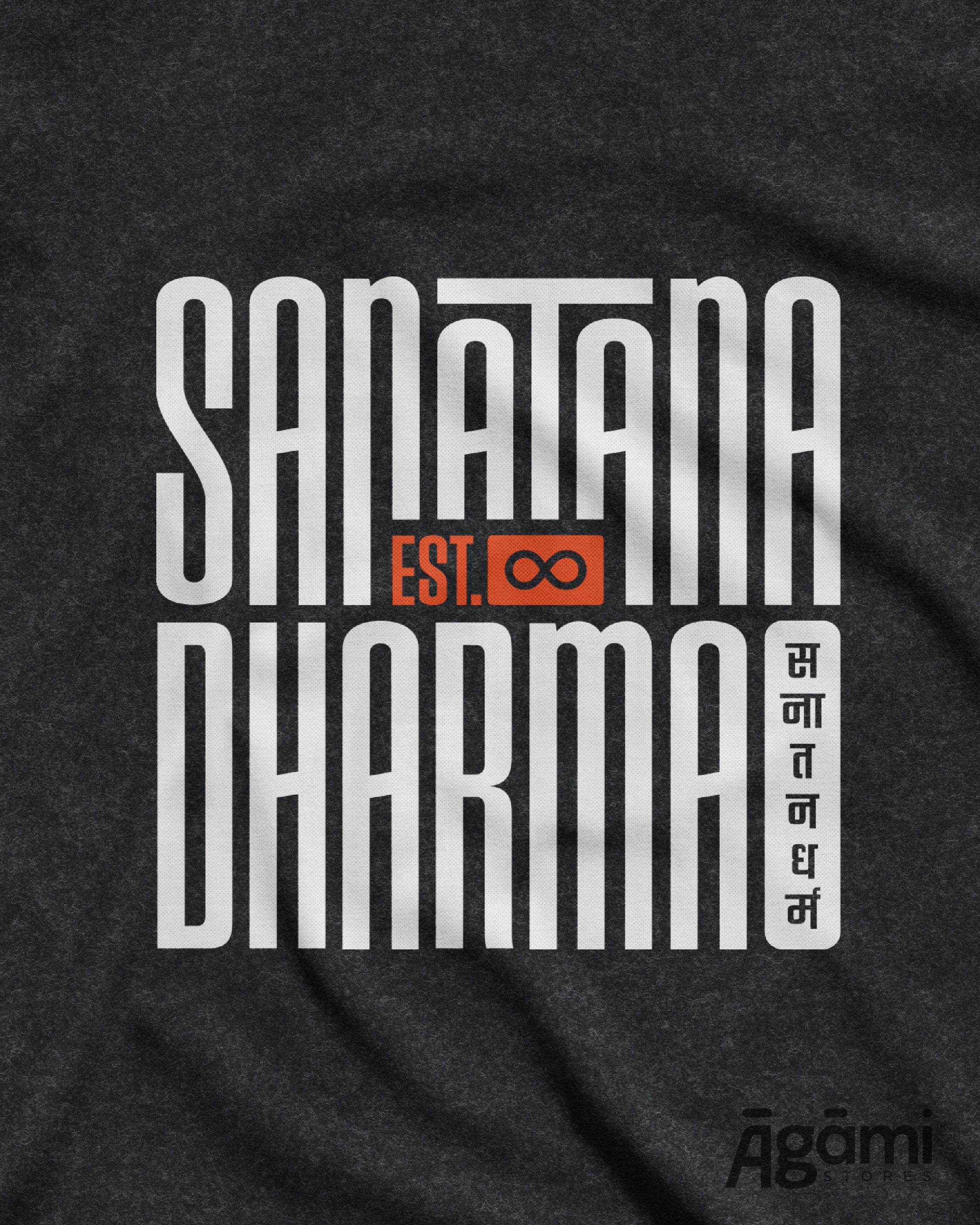 Sanātana Dharma Tshirt - Dark Grey | Regular Fit - Image 3