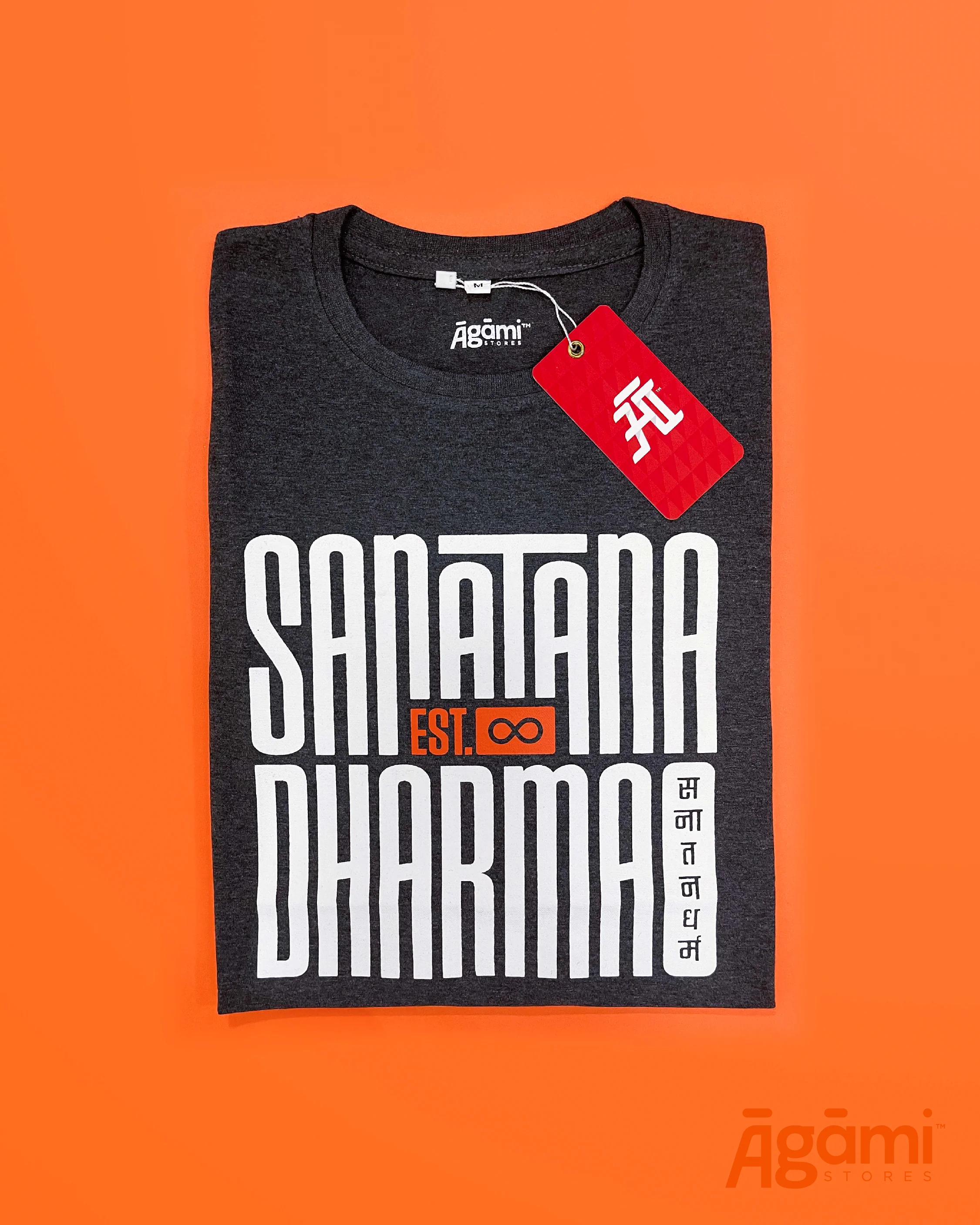 Sanātana Dharma Tshirt - Dark Grey | Regular Fit - Image 4